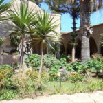 Agia Napa